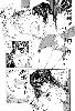 Cliquez ici pour voir l'image (119.jpg)