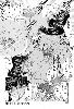 Cliquez ici pour voir l'image (146.jpg)