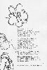Cliquez ici pour voir l'image (031b.jpg)