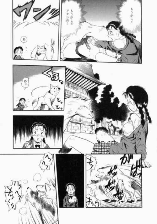 nodognolife_017