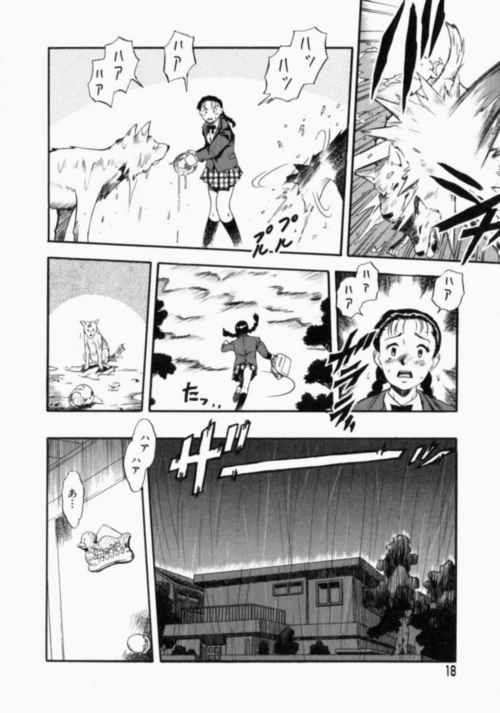 nodognolife_018