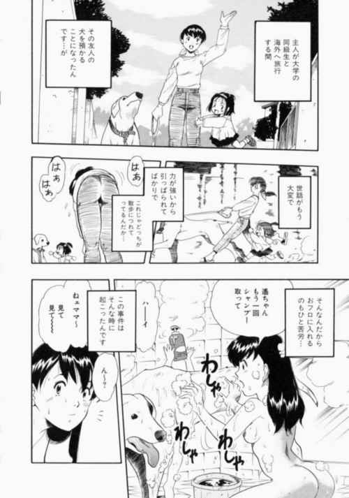 nodognolife_072